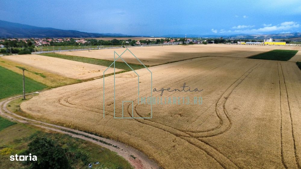Teren intravilan in Sibiseni (Comuna Vintu de Jos) – Oportunitate