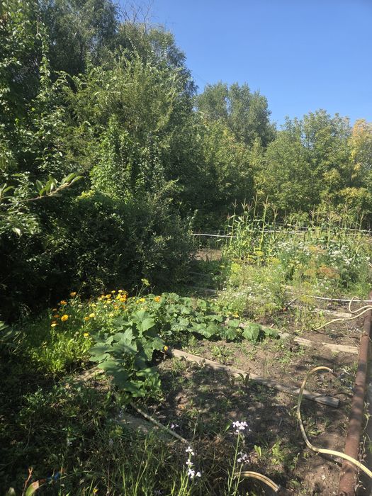 Продается дача " Энтузиаст"