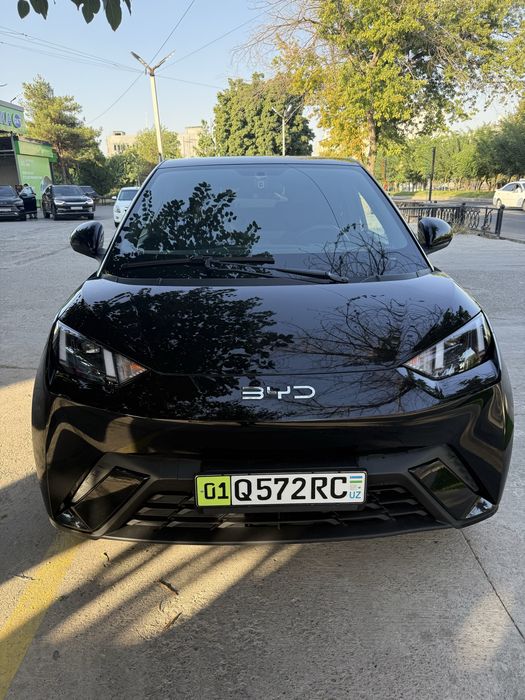 Byd Seagull 2024 Full