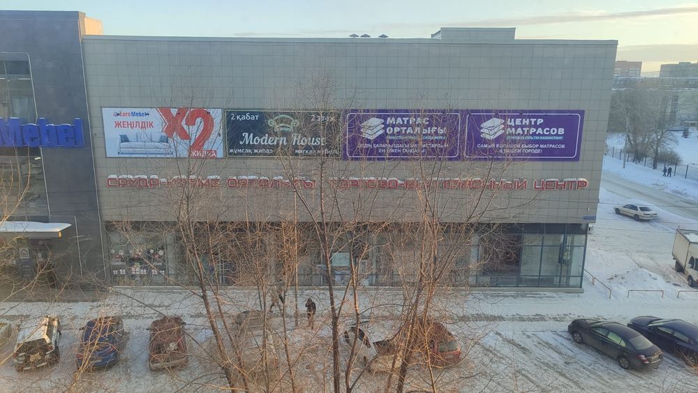 Соратын ит стилі