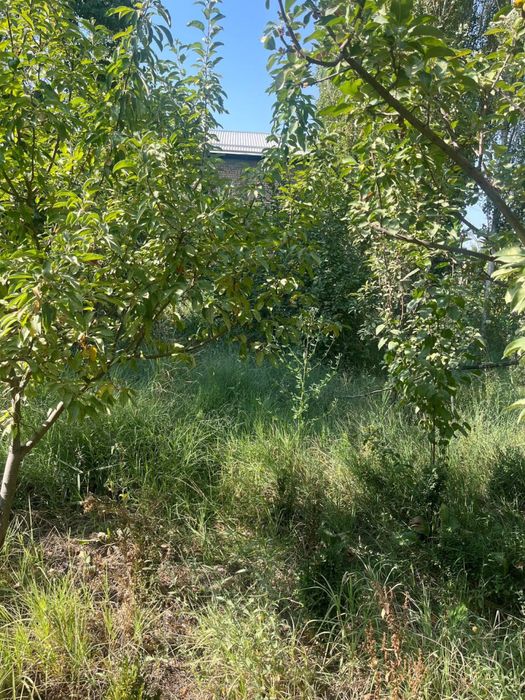 Бозсув да 6 сотих йер сотилади назарбек