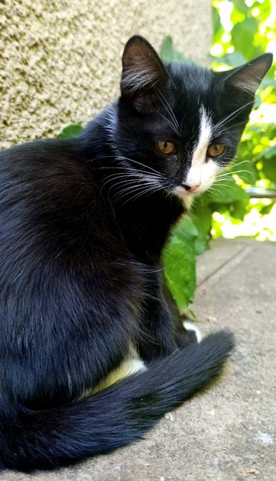 Девочка ищет семью