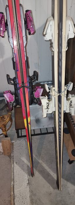 Schiuri salamon si volkl