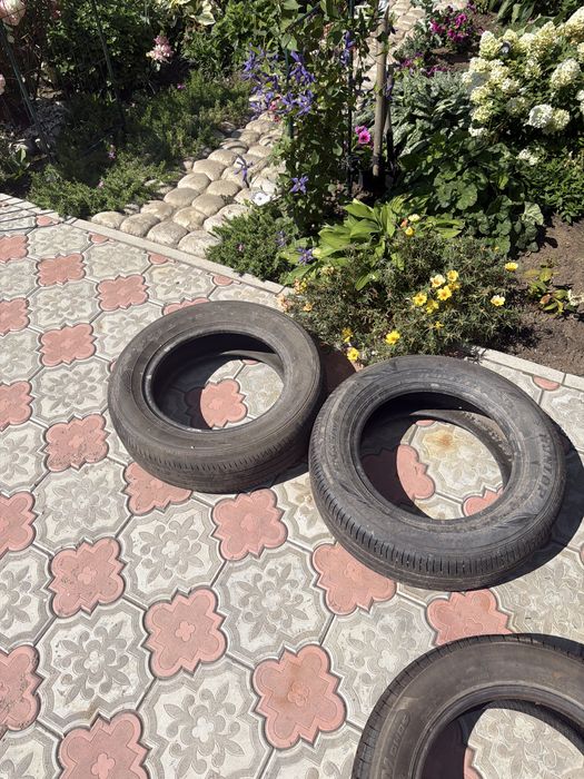 Dunlop 195/65 15 2шт