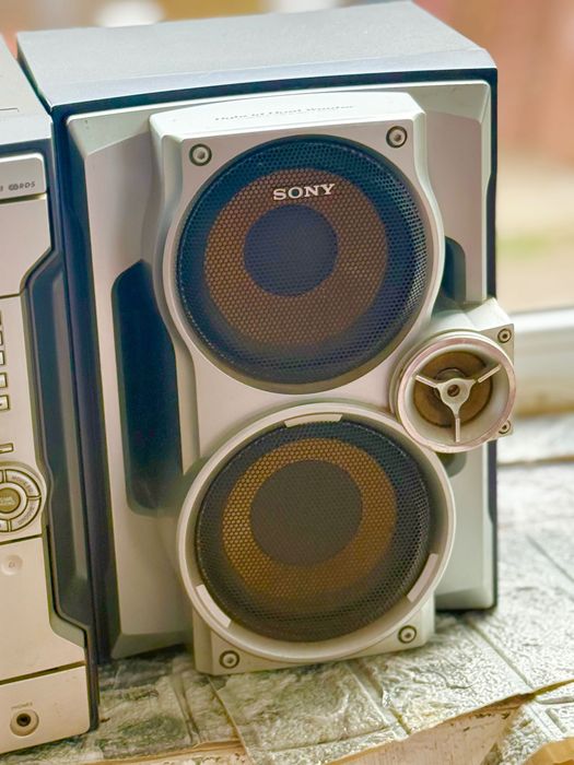 Уредба Сони rg310