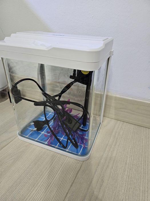 Аквариум маленький