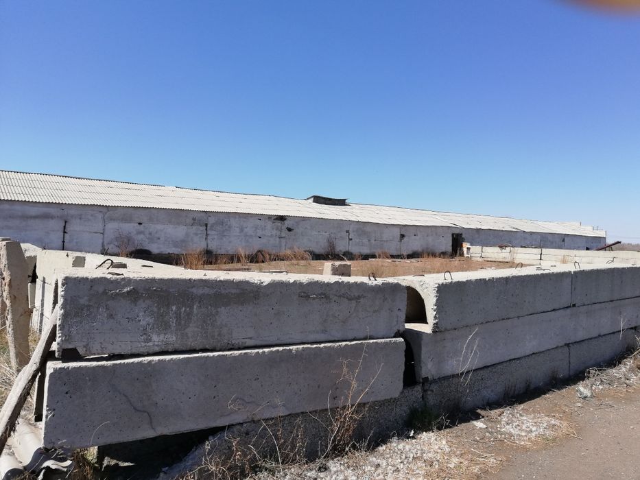 Продам базы коровники 2шт