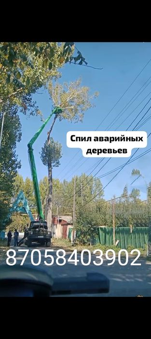 СПИЛ деревьев любой сложности!