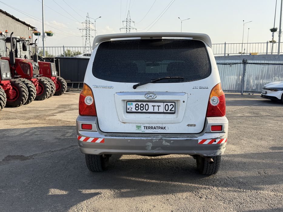 Hyundai Terracan 2001 гола