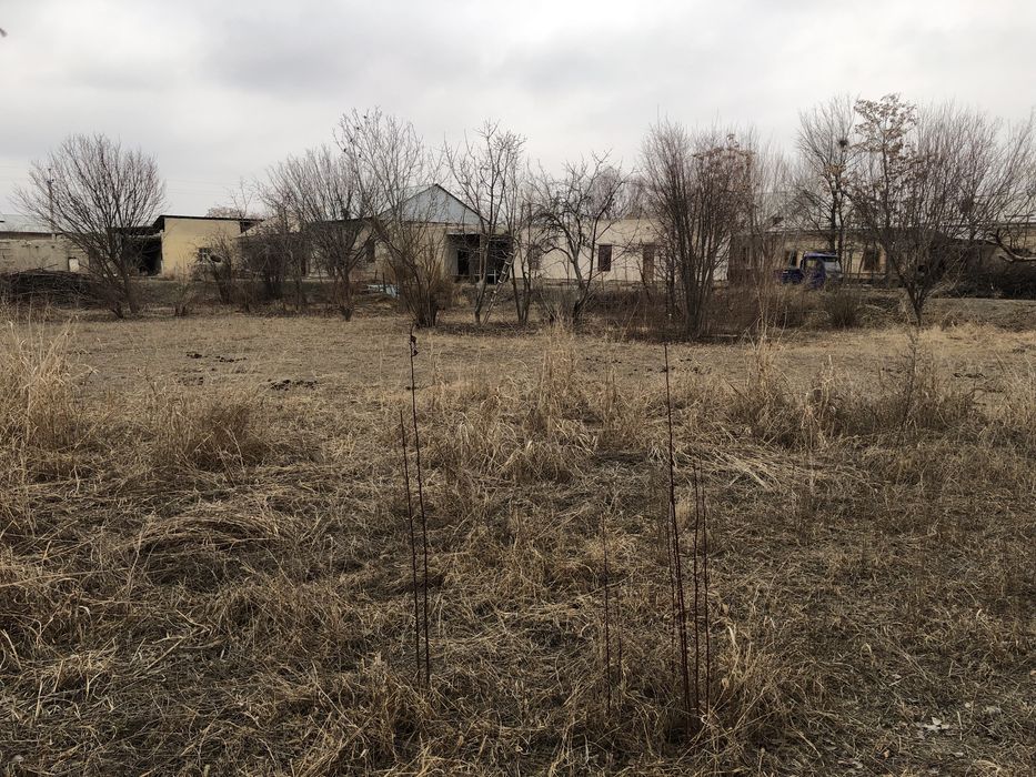 Xovlli sotiladi 25 sotiq