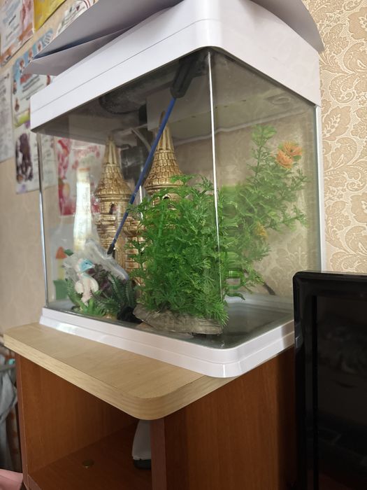 Продаётся аквариум