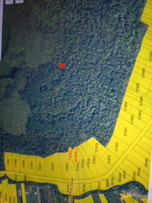 Teren Fiseju Gherlii