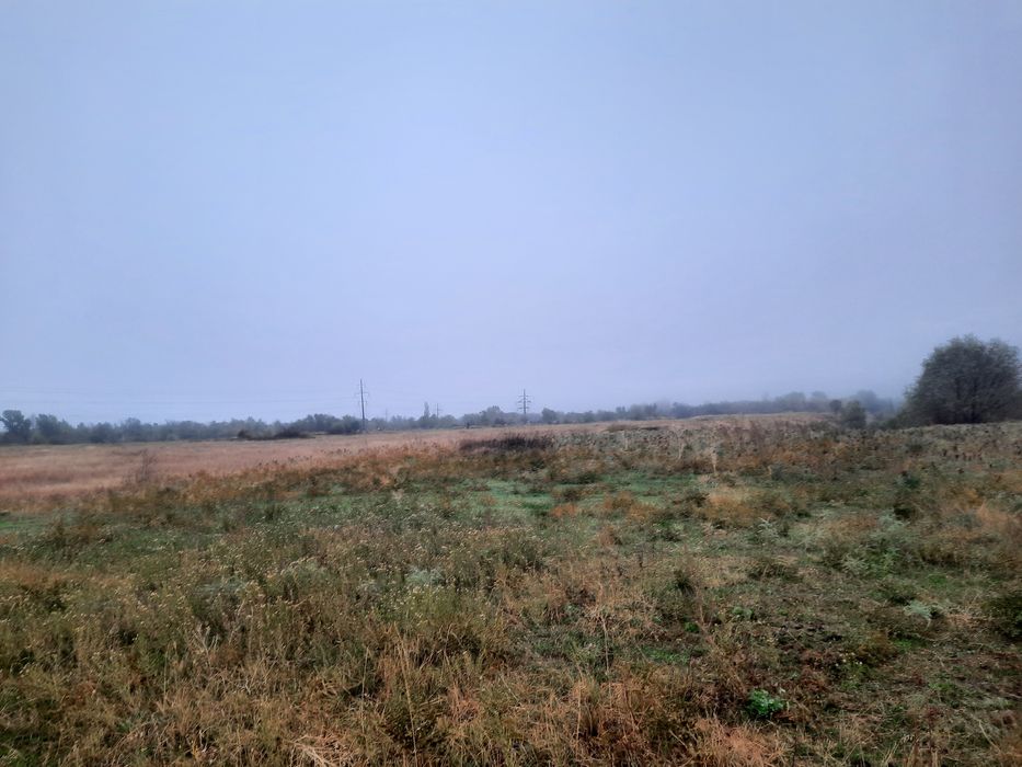 земельный участок