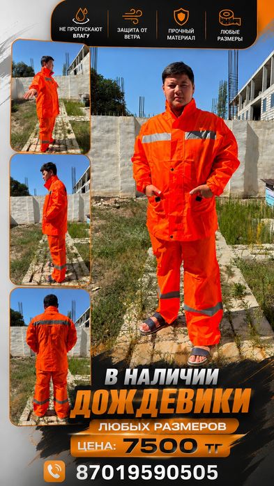 Дождевики в большом количестве