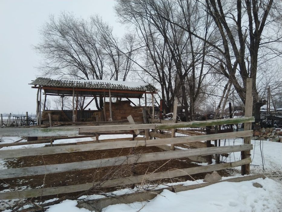 Дом Кайнар 5 комнат