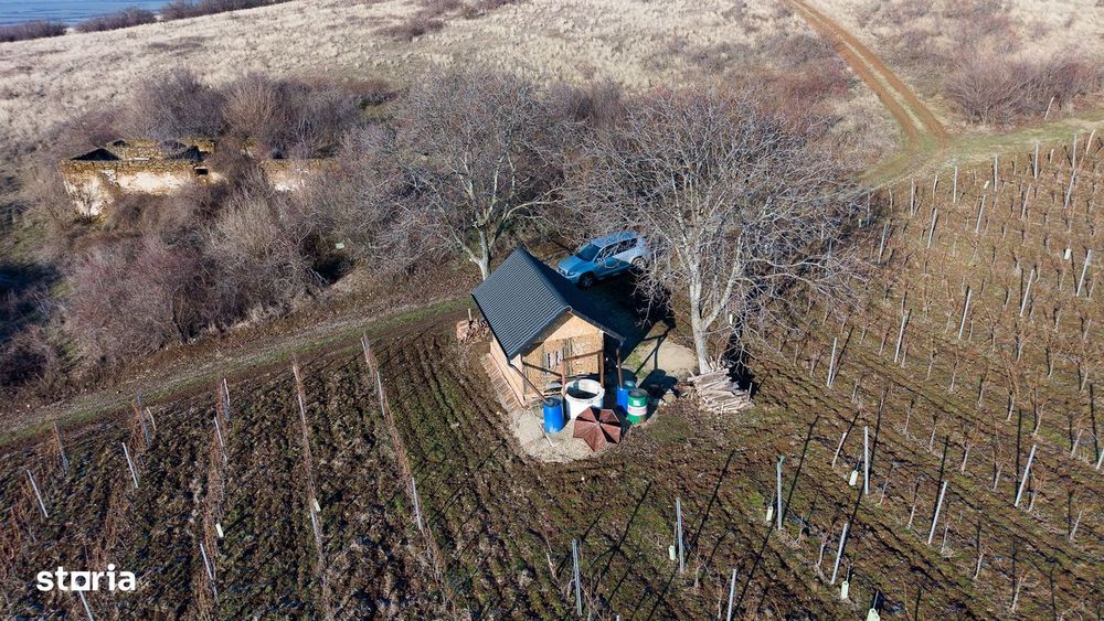 Vita-de-vie Premium  teren de 6800 mp în Covăsinț