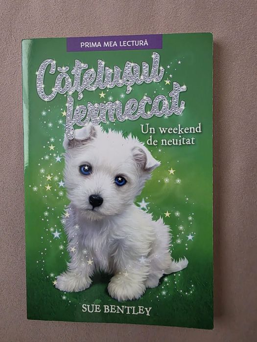 Carti pentru copii