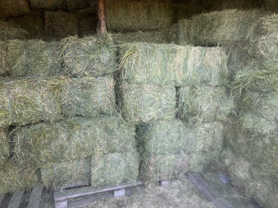 Baloti lucerna si fan prima coasa si a doua coasa si paie