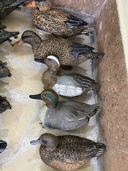 Подсадные утки ,профеля