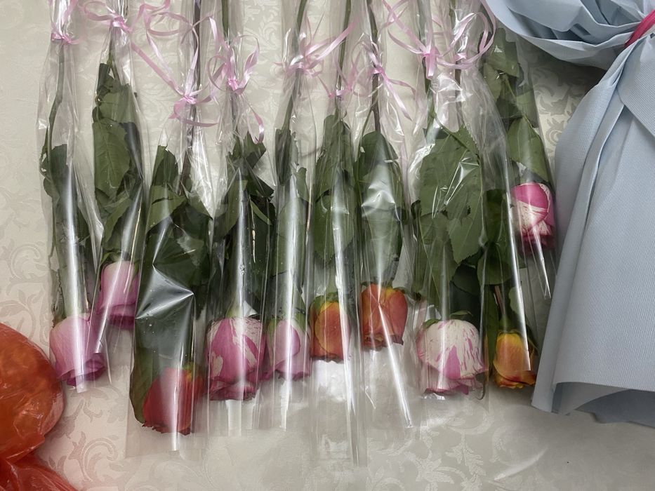 Гүлдер цветы арзан