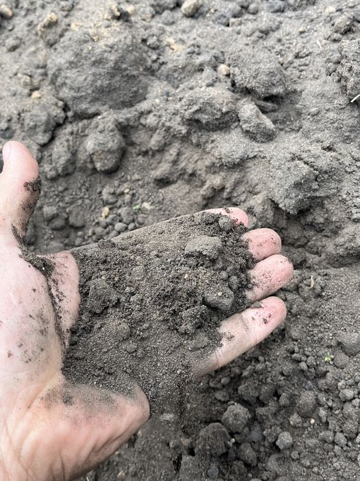 Земля плодородная