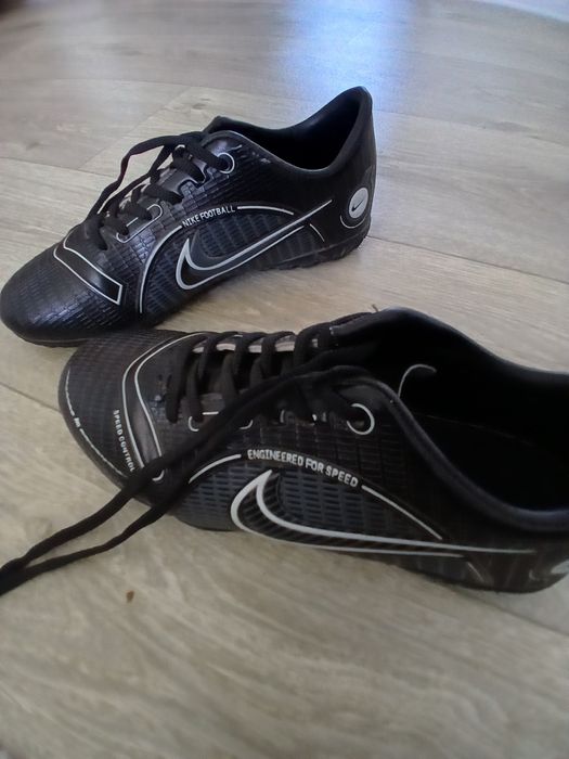 Сороконожки в хорошем состоянии