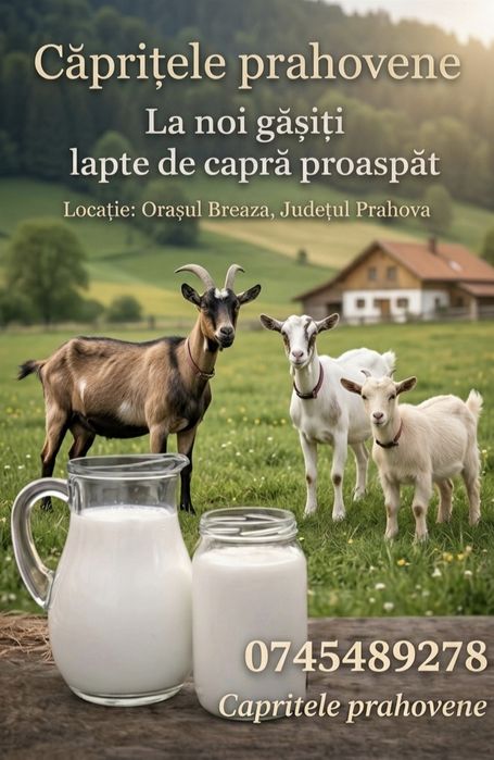 Lapte/Branza proaspata