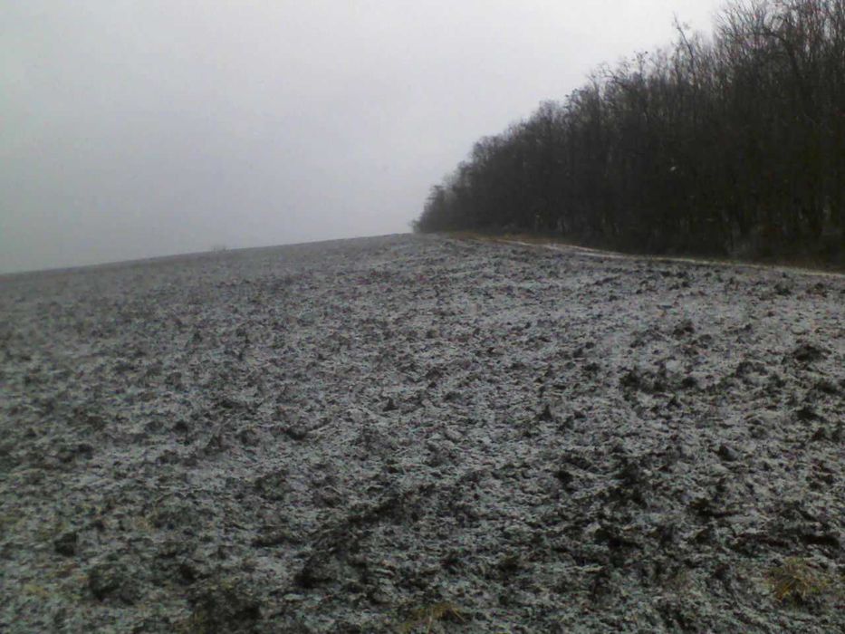 3200 mp Teren langa padure Romsilva, Raducaneni