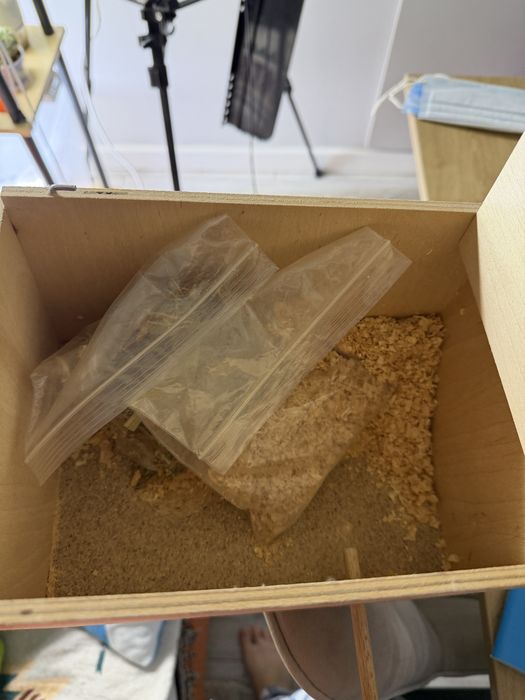 Гнездо домик для попугаев