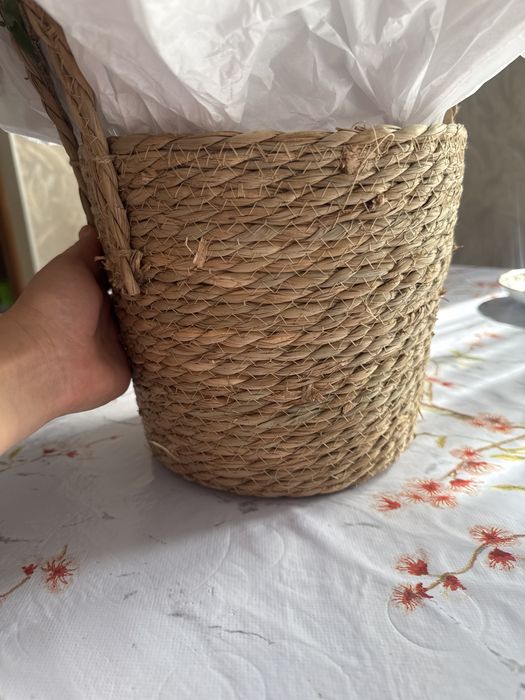 Цветы   бүгін келді .
