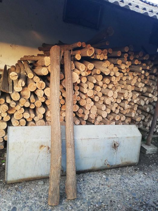 Stalpi pentru gard din salcam