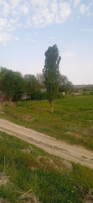 Фазенда сатылады