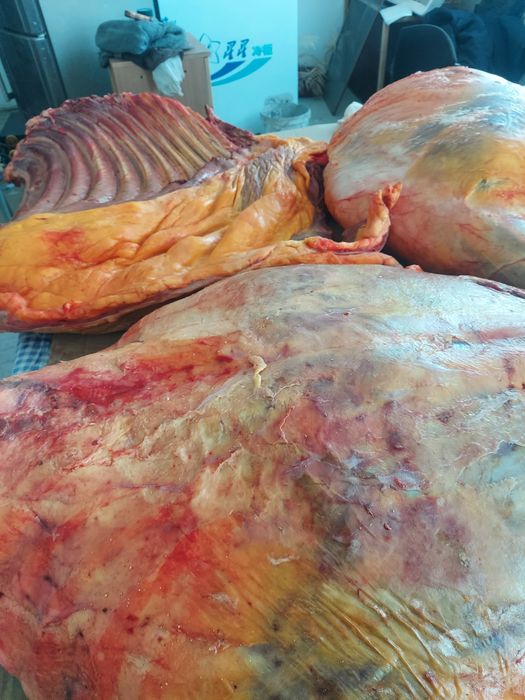 Продаётся   конина    свежая