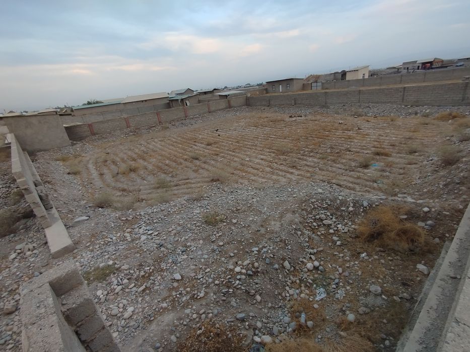 Yer maydoni 10 sotix