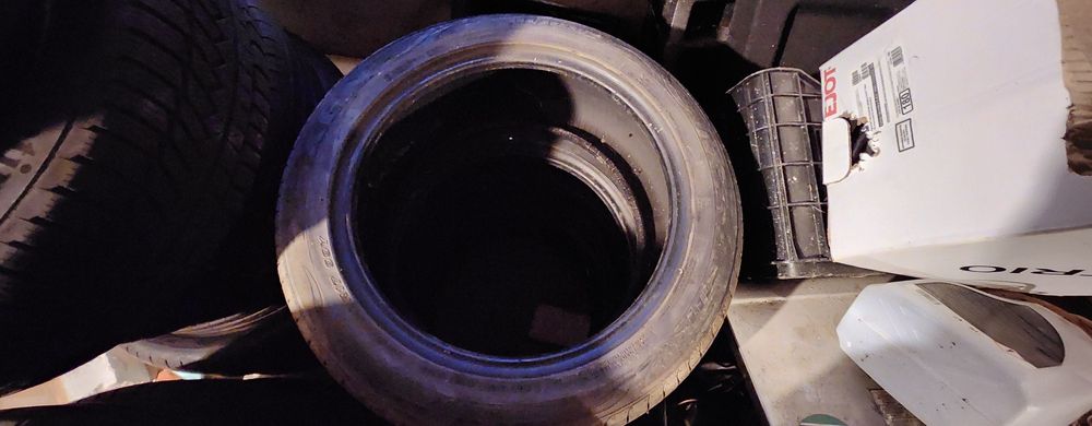 255/45R20 4 Гуми Michelin Sport EV