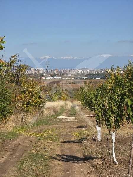 Земеделска земя в Белащица! 96255