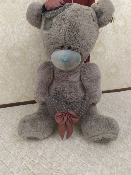 Тедди катта айик