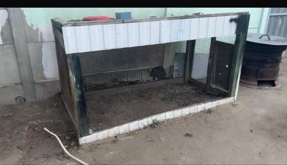 Сатылады ит үйасыы