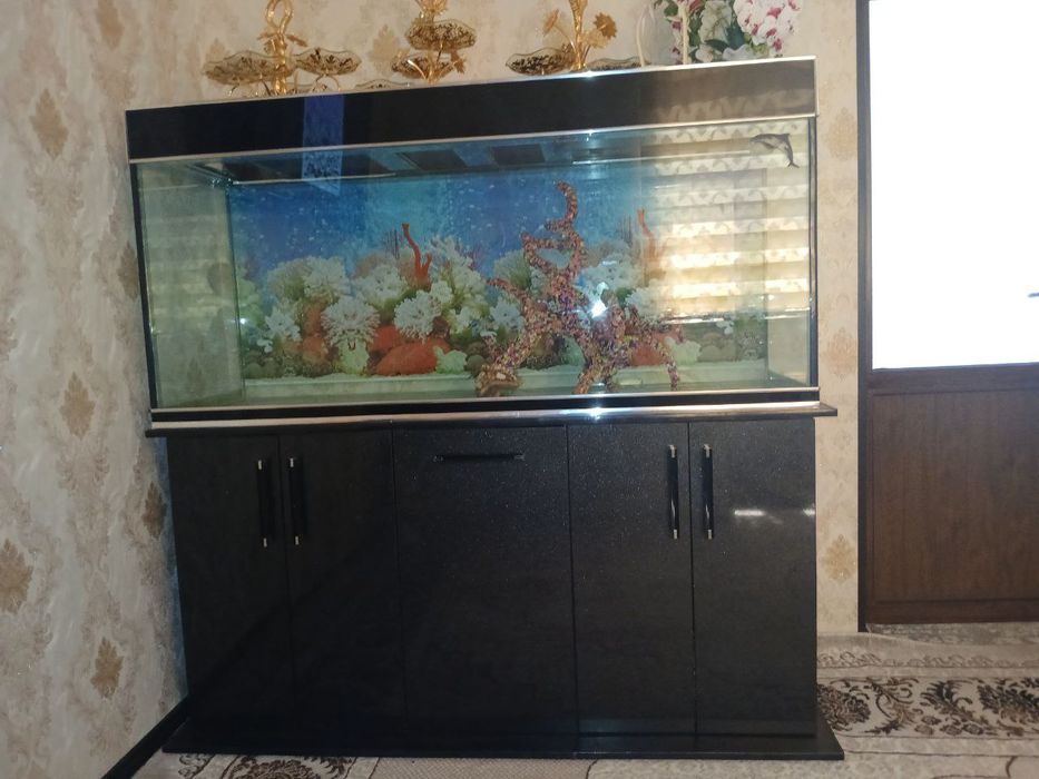 Akvarium paskimebl akrildan qol mexnati ichidagilari qol mexnatii 700l