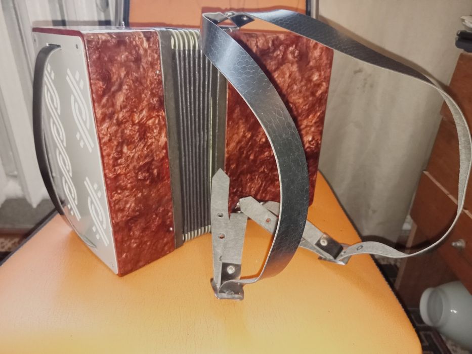 Аккордеон детский.сссо.