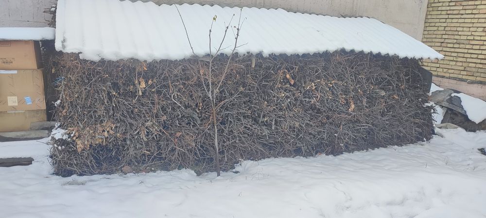 Tandirbop yoqilgi novvoy oshpazlsrga