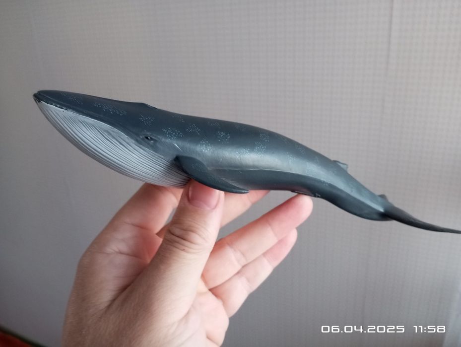 Игрушки детские касатка, акула, кит