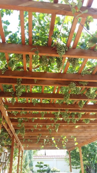 Загородный дом с пропиской. В сторону Паркента.