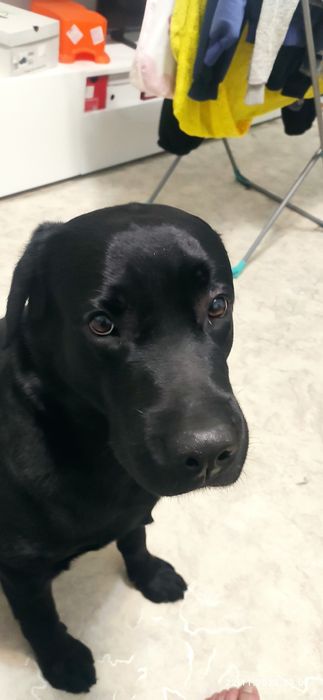 Ищём девочку для вязки