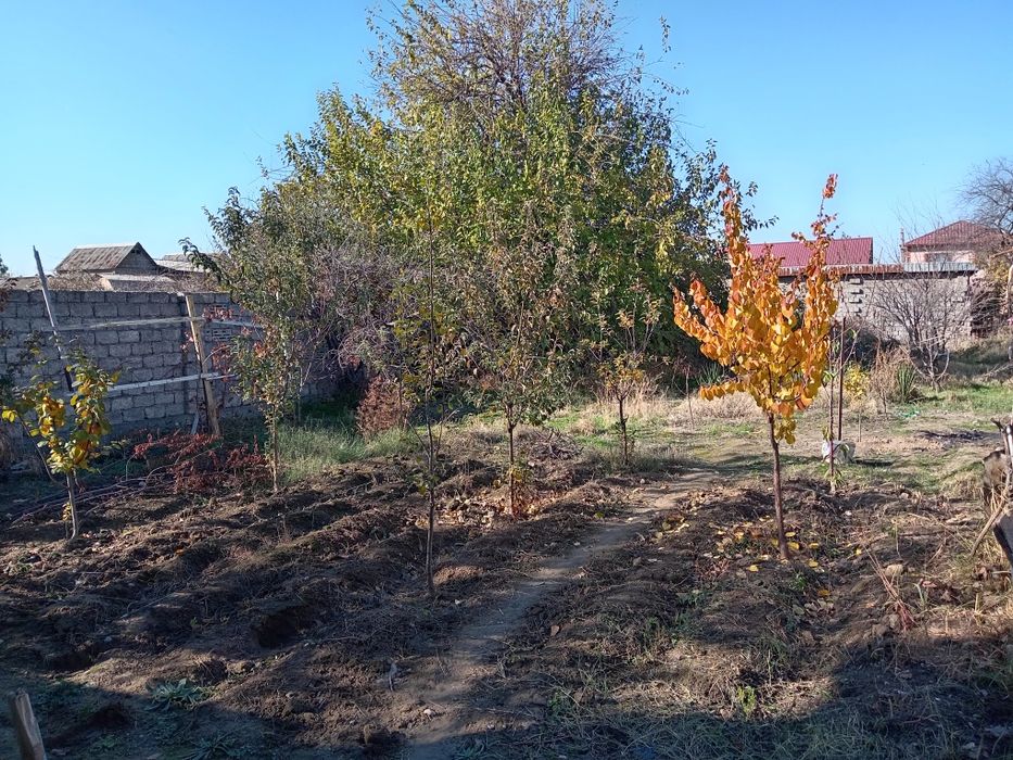 Yangi O'zbekiston bog'i yonida xovli