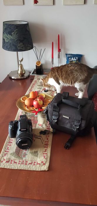 Nikon Coolpix P1000 – Отлично състояние – Почти неизползван