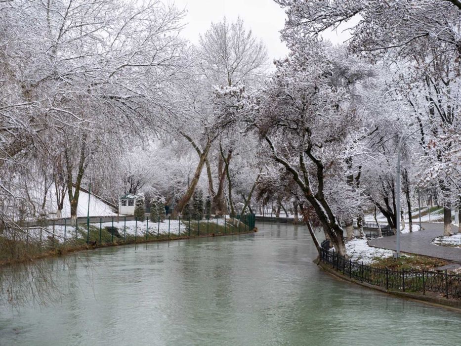 Khiva in Winter Radiance: An Excursion into the Fairytale with a Guide