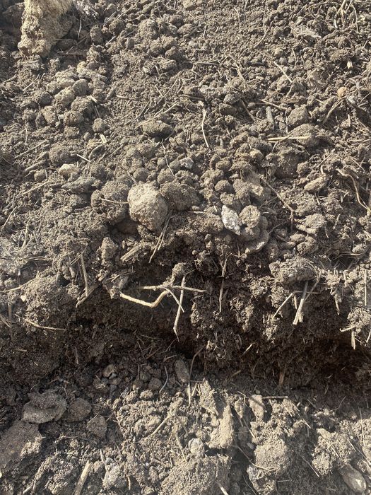 Продам перегной самовывоз