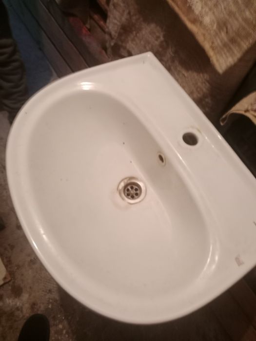 Раковина тюльпан