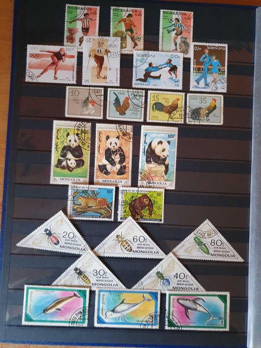 Clasor cu timbre străine și Românești vechi pentru colecționari.